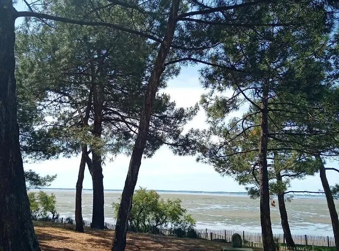 Le Mauret * Andernos-les-Bains